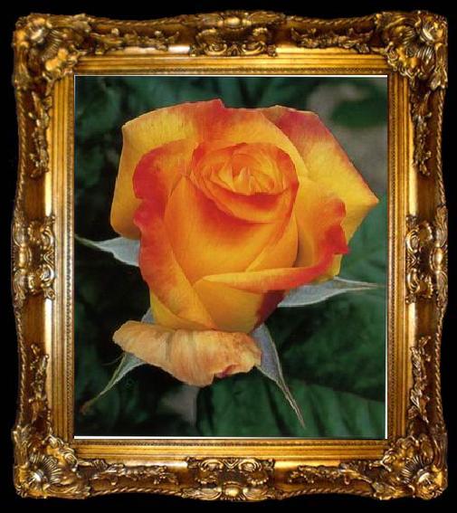 framed  unknow artist Still life floral, all kinds of reality flowers oil painting  156, ta009-2